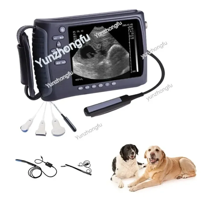 2022 Most Popular Model Factory Price Portable Veterinary Ultrasound for Animals