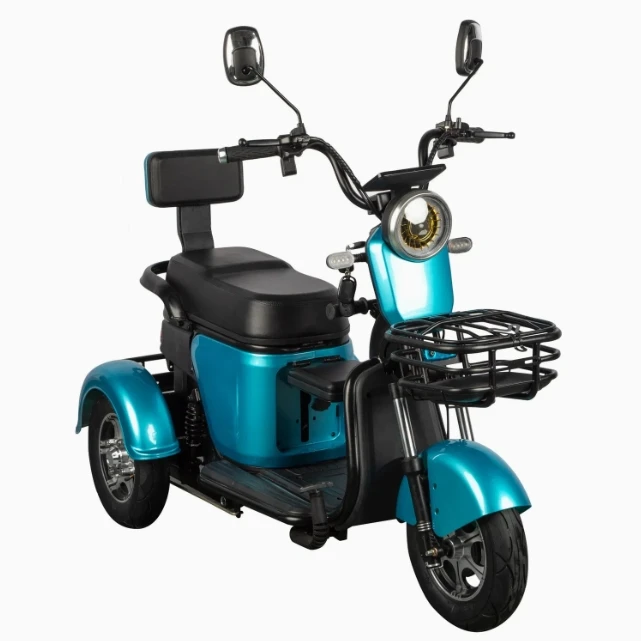

60V Electric Three-Wheel Tricycle 800W Brushless Motor Open for Adults High-Carbon Steel Frame 2 Passengers 400kg Payload