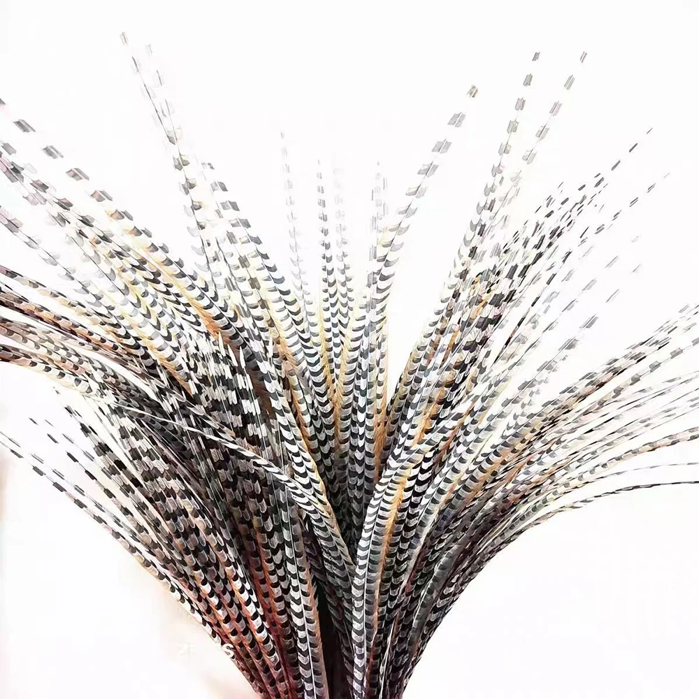 Wholesale Artificial 50pcs Reeves's Pheasant feathers 28-40inch/70-100cm Decorative Plume for Carnival Headwear DIY
