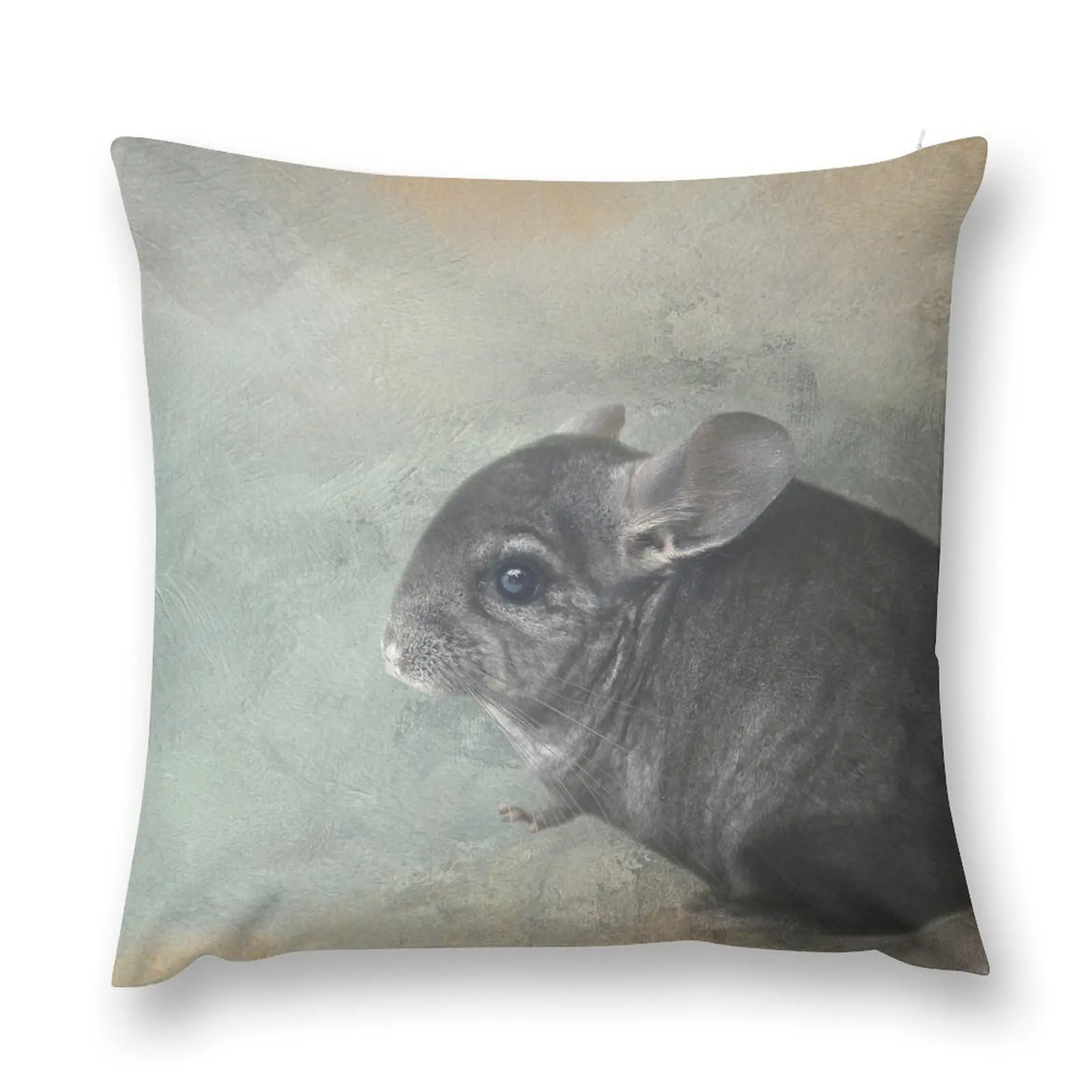 

Chinchilla One Throw Pillow Pillowcases For Pillows Rectangular Cushion Cover Decorative Sofa Cushion Decorative Cushion pillow