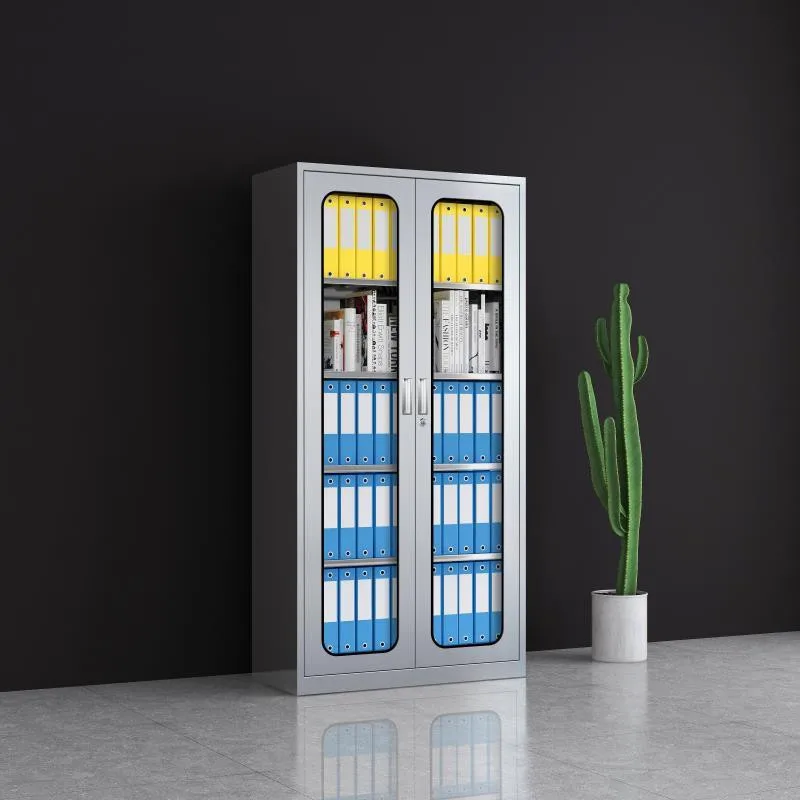 Classeur en Acier Inoxydable, Armoire Basse, Armoire de Rangement Stérile, Médicaments