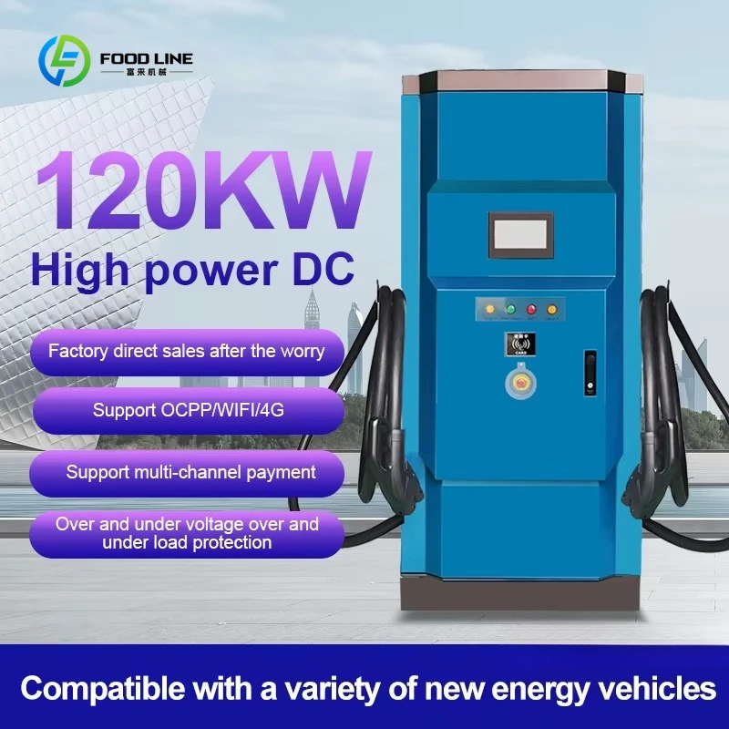 Custom 120KW 3 Phase DC Fast Charging Station Floor Mounted 2 Gun Commercial EV Charger for Cars