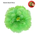 Green Elastic 50cm