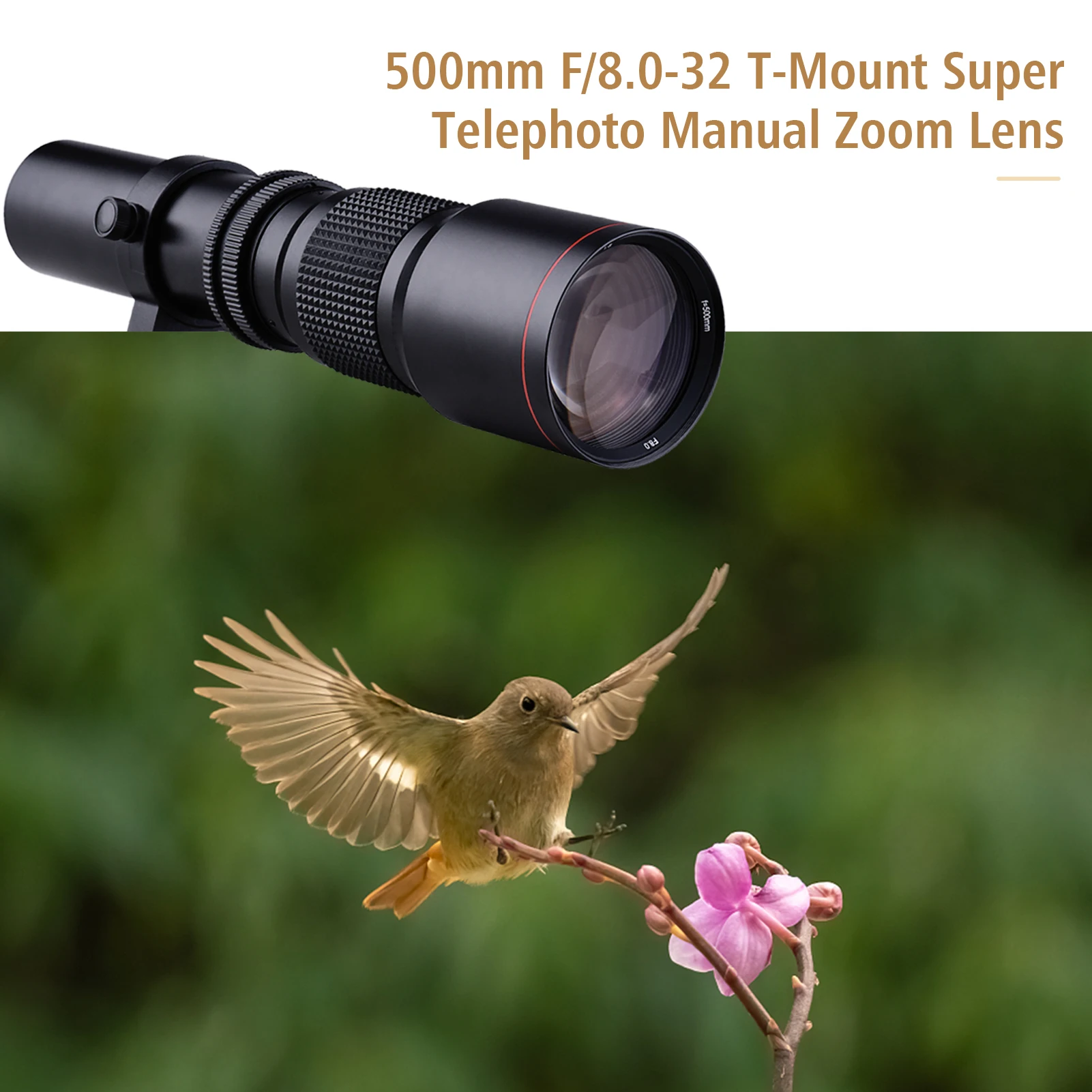 500mm F/8.0-32 Multi Coated Super Telephoto Lens Manual Zoom + T-Mount to F-Mount Adapter Ring Kit Replacement