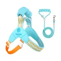 Blue Set