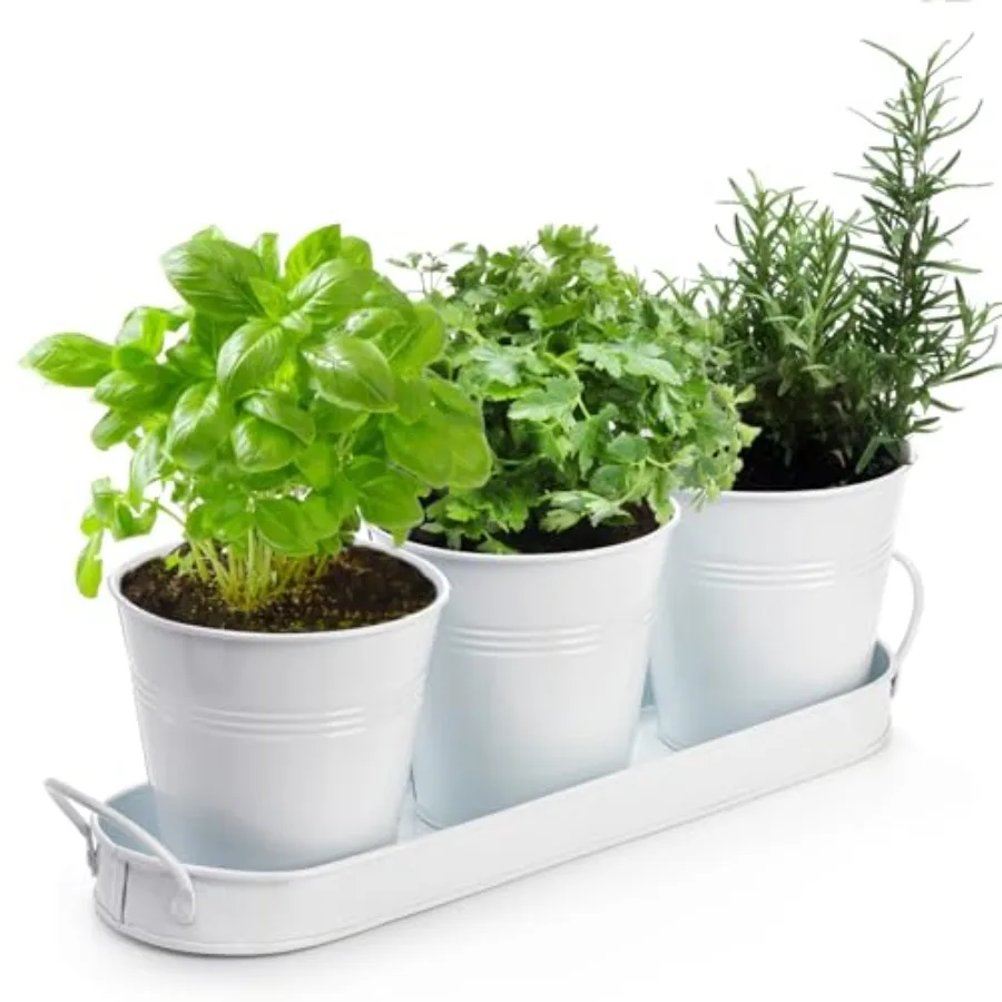 

Set of 3 Herb Garden Planter Indoor Herb Pots with Drainage Holes Metal Windowsill or Countertop Herb Garden Set with Tray Whit