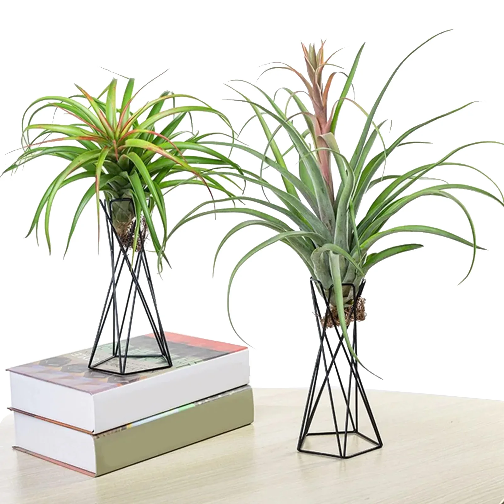 

Подставка для цветов, воздушный держатель для ананаса, изысканное мастерство, держатель для суккулентов, подходит для большинства маленьких растений среднего размера