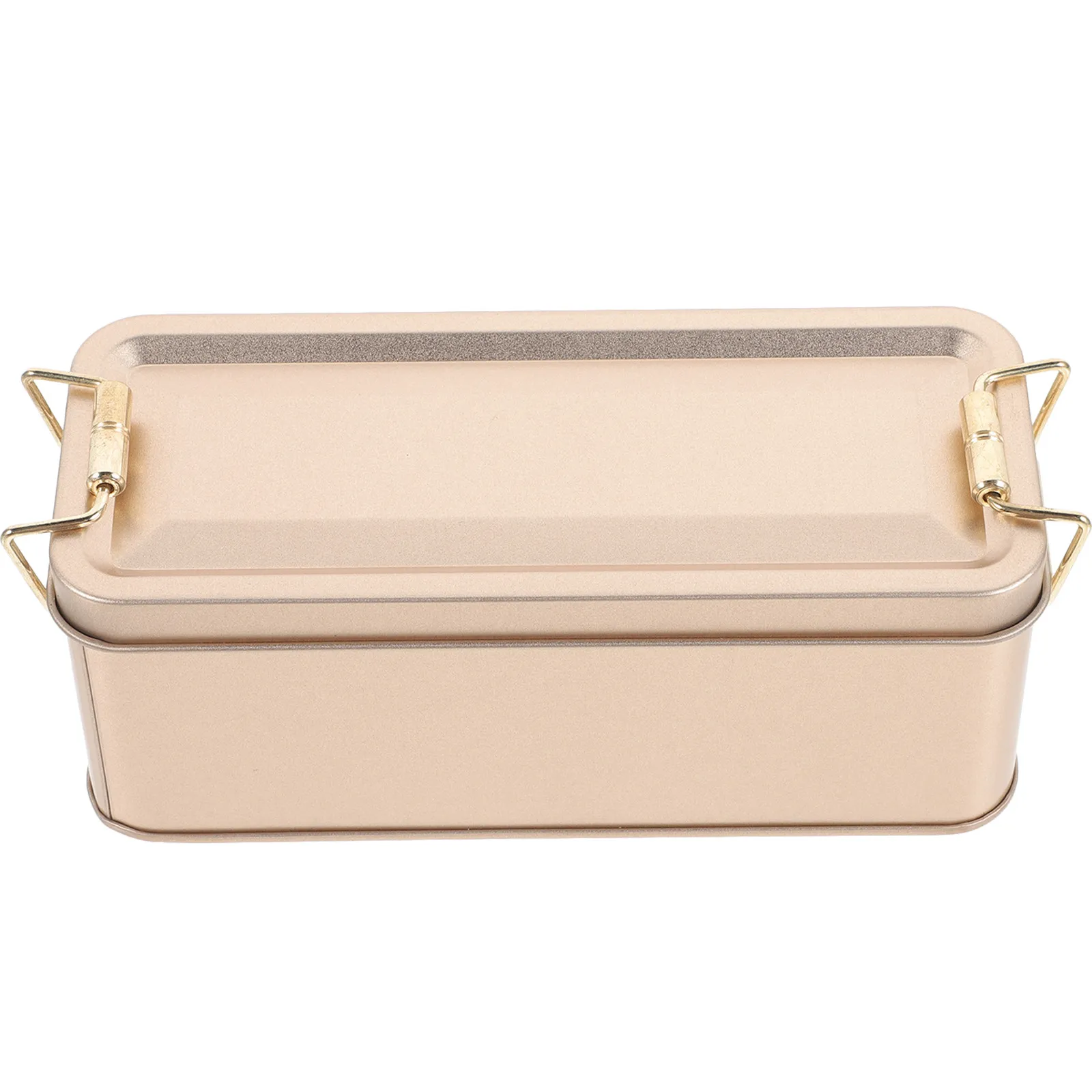 Beautiful Bright Iron Cookie Tin with Lid Festive Candy Storage Box for Cookies Snacks Chocolate Gifts Small Bakery Tin Box