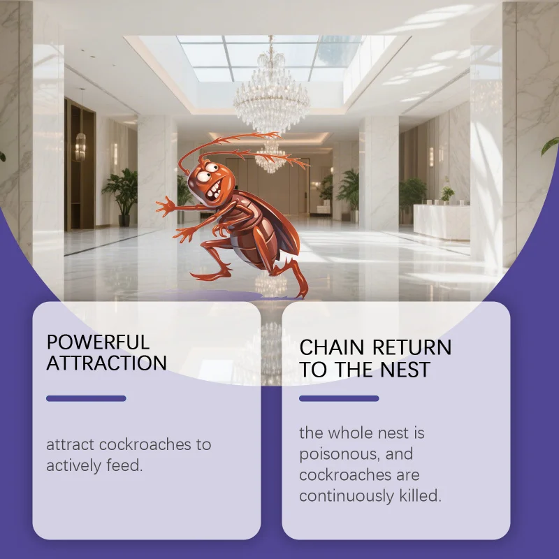 

Hydrating Moisturizing Exfoliating Care Essence Removes Dull Skin, Boosts Hydration and Enhances Skin Repair