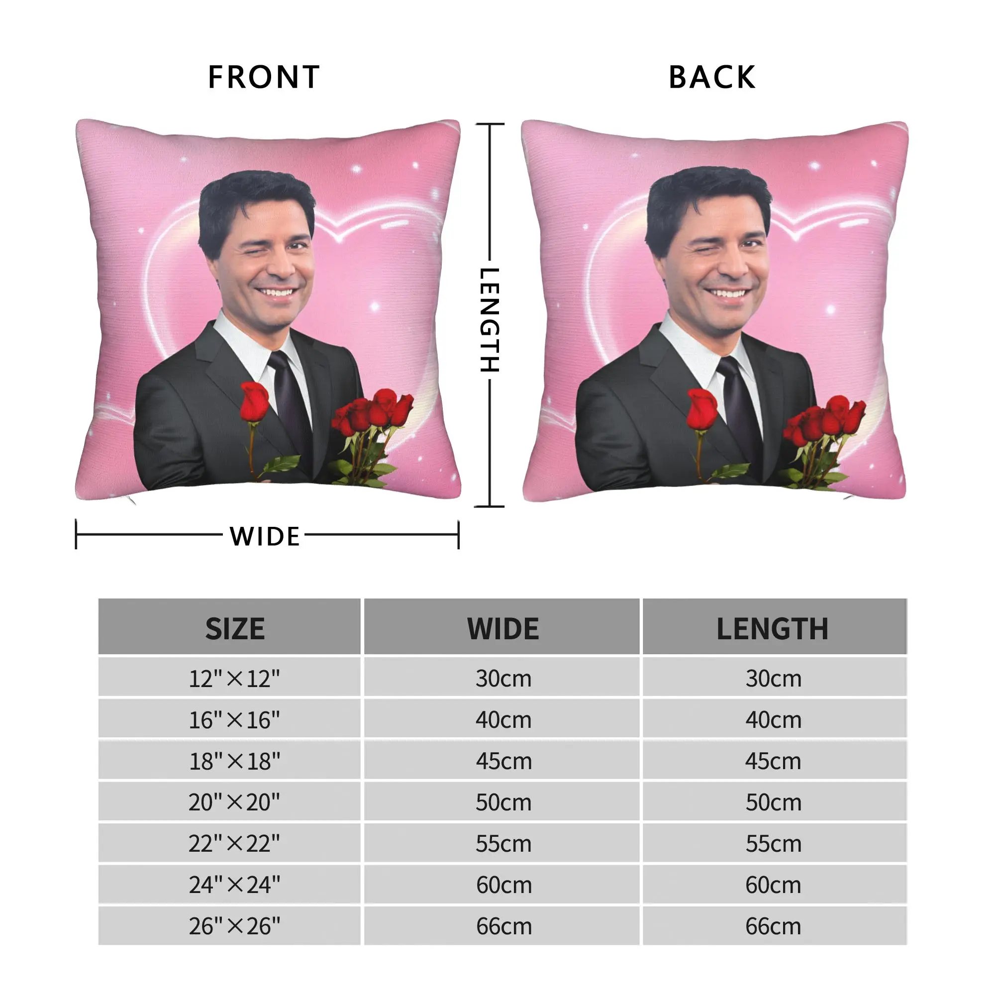 Chayanne Meme Pillow Cover  Design Cushion Cover Funny Pillow Case For Sofa Couch Bed Living Room