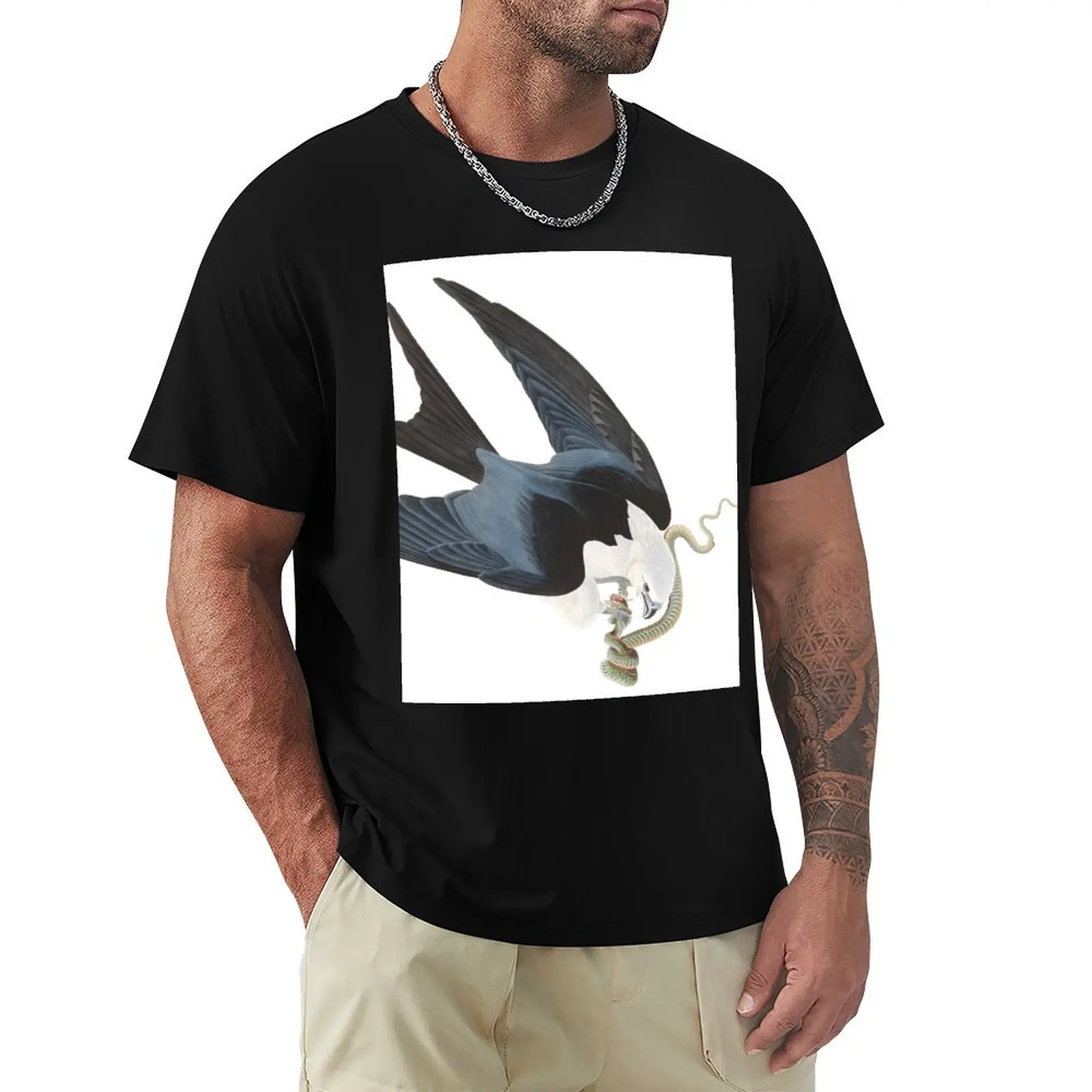 Swallow-tailed Kite - John James Audubon T-Shirt Lightweight Basic Short Sleeve Shirt