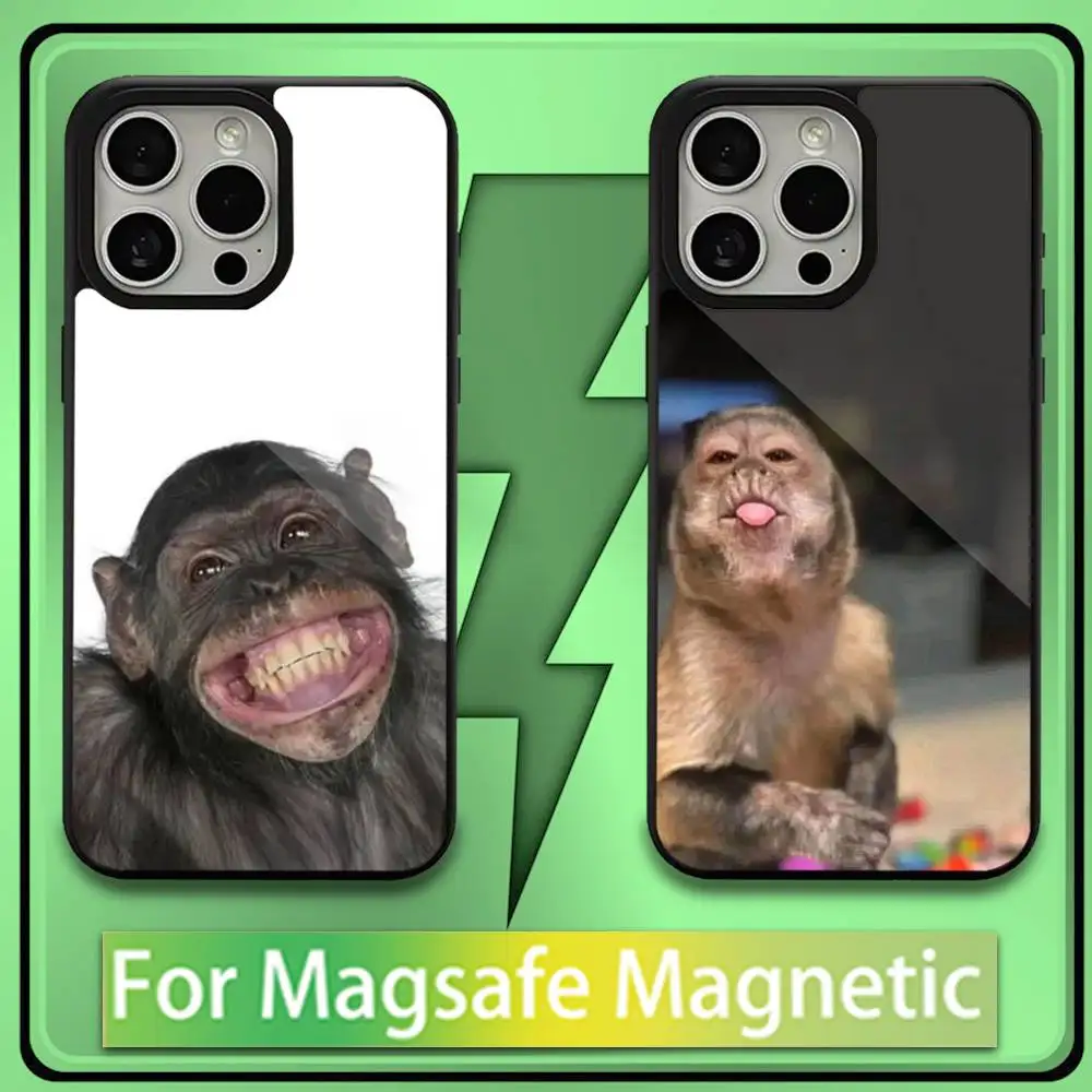 

Funny Monkey Silicone Phone Case For iPhone17,16,15,14,13,12,11,Plus,Pro,Max,Mini Soft Magesafe Magnetic Wireless Charge