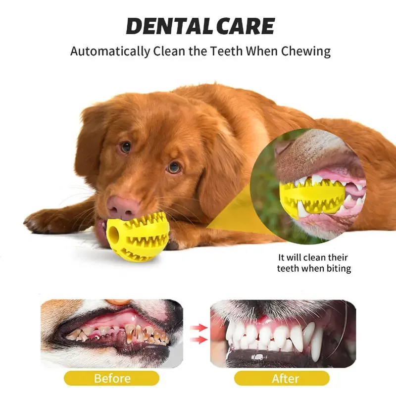 Pelota interactiva elástica para perros pequeños, juguete masticable para cachorros, Limpieza de dientes, Bola de comida de goma, accesorios para