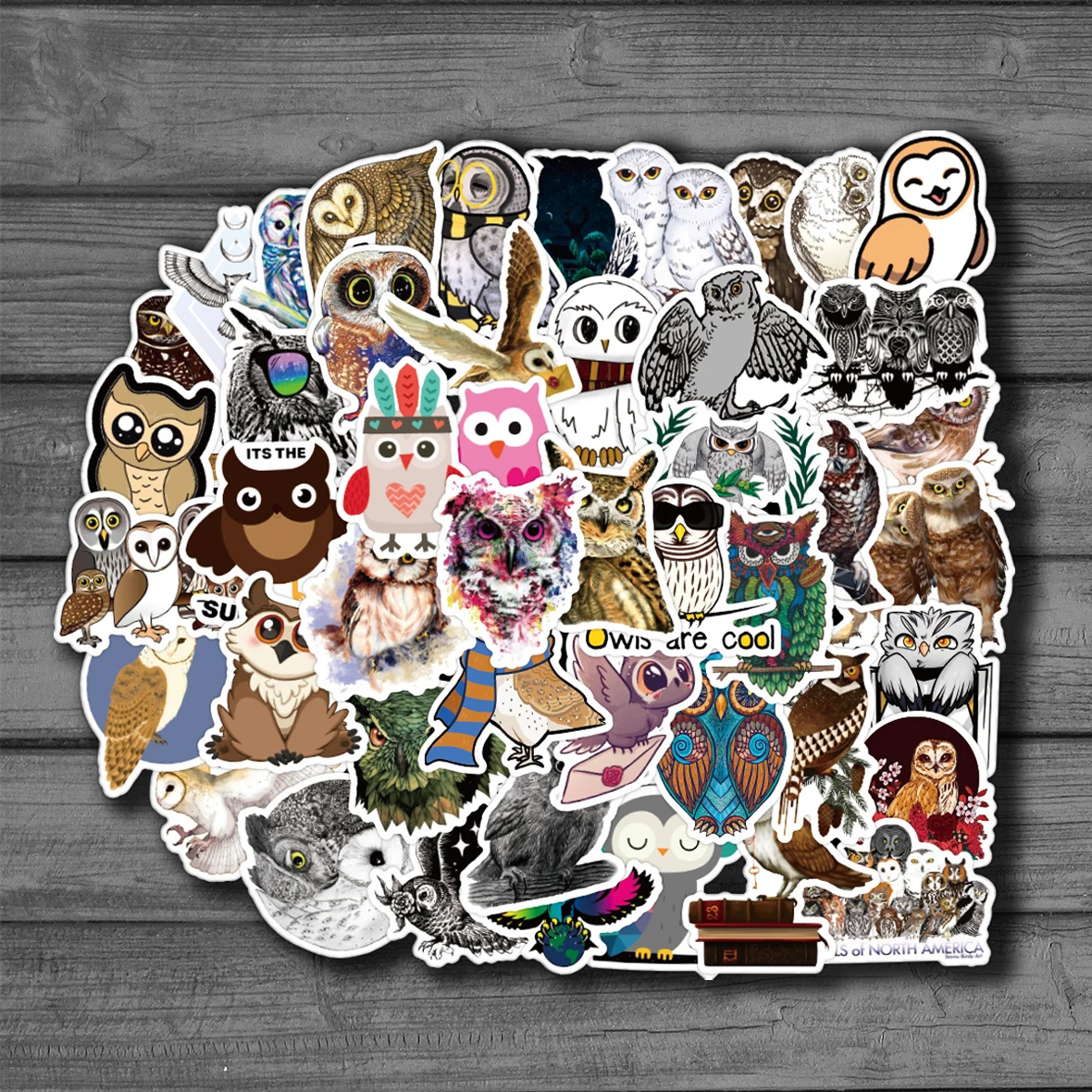 50PCS Cartoon Cute Owl Stickers Personalized Decoration Luggage Notebook Waterproof Adhesive Sticker Reusable
