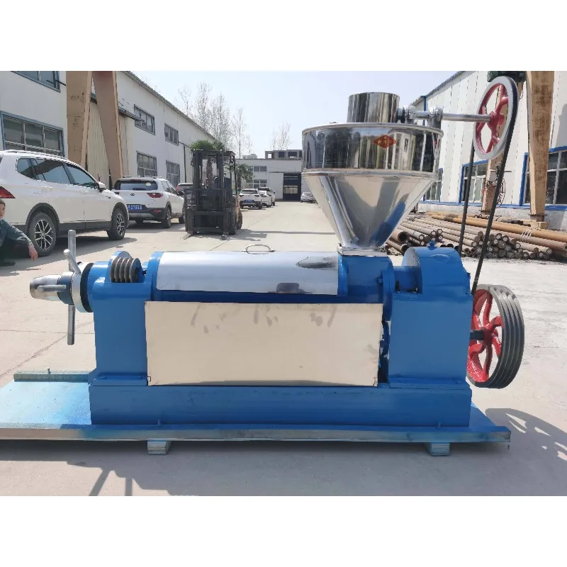 High Efficiency 3.5-4T/Day Palm Kernel Oil Press Machine Screw Type Palm Seed,soybean,sunflower,flaxseed Oil Extractor HJ-P100