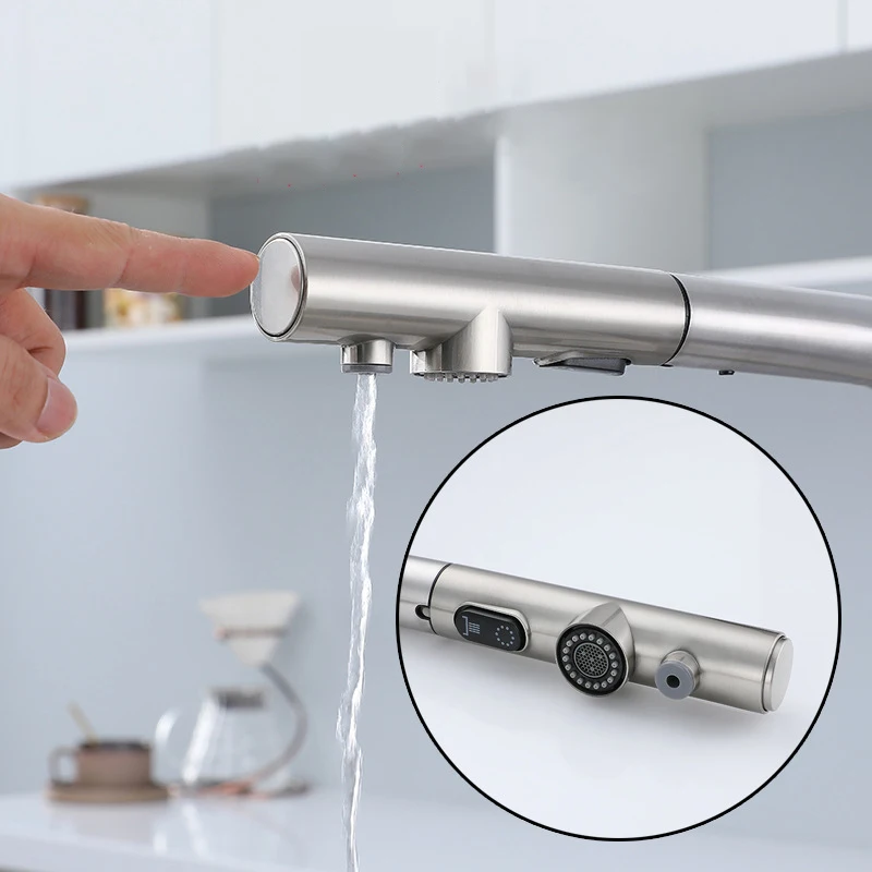 Keran Wastafel Dapur Tarik Keluar Dua Model Nosel Penyemprot Aliran Baja Tahan Karat Keran Mixer Air Panas Dingin Air Minum Filter 3 Arah