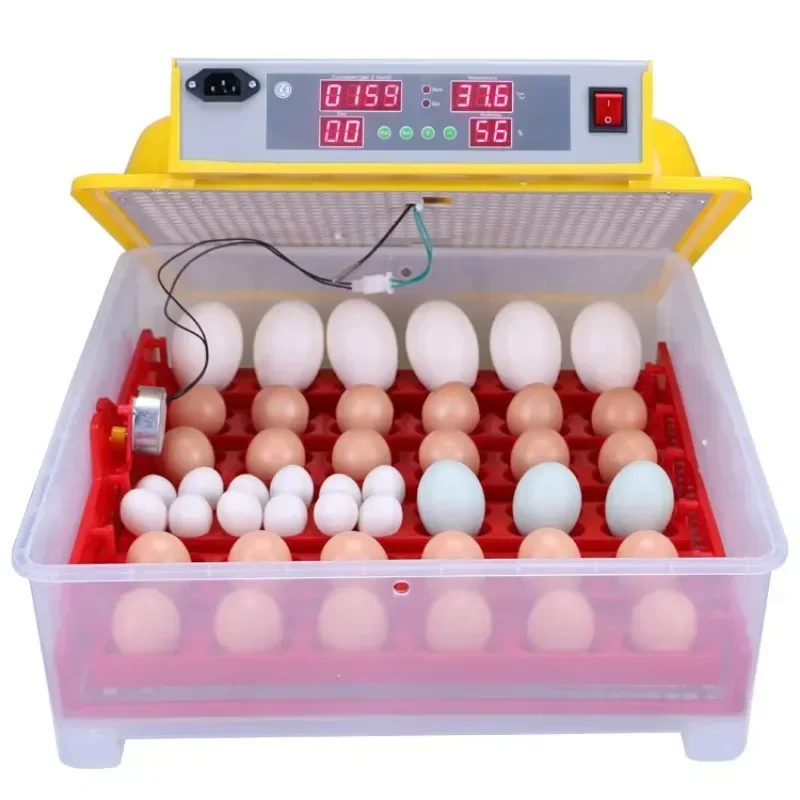 hot sales Solar Energy Egg Hatchery Fertile Parrot Eggs Ostrich Incubator Brinsea Incubator Industrial Egg Incubator