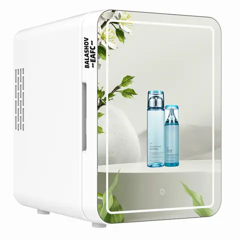 LED 조명 거울이 있는 미니 메이크업 냉장고, 휴대용 화장품 보관 냉장고, 가정용 자동차 이중 용도 쿨러, 신선도 유지, 4L