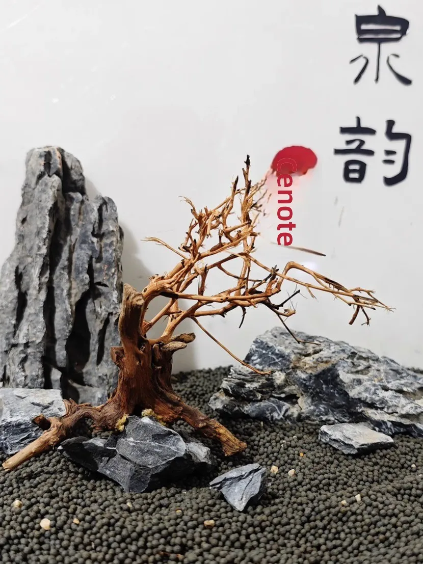 Decoración de paisaje para acuario: Árbol de musgo, producto terminado, árbol esqueleto, pino, árbol de la vida, árbol de fig...