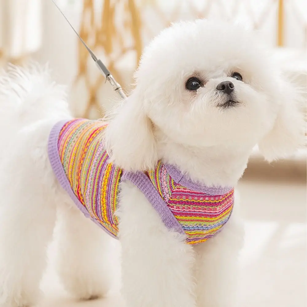 

Rainbow Striped Pet Mesh Vest Sleeveless Sun Protection Cool Dog T-shirt Summer Thin Breathable Dog Sweatshirt Pet Supplies