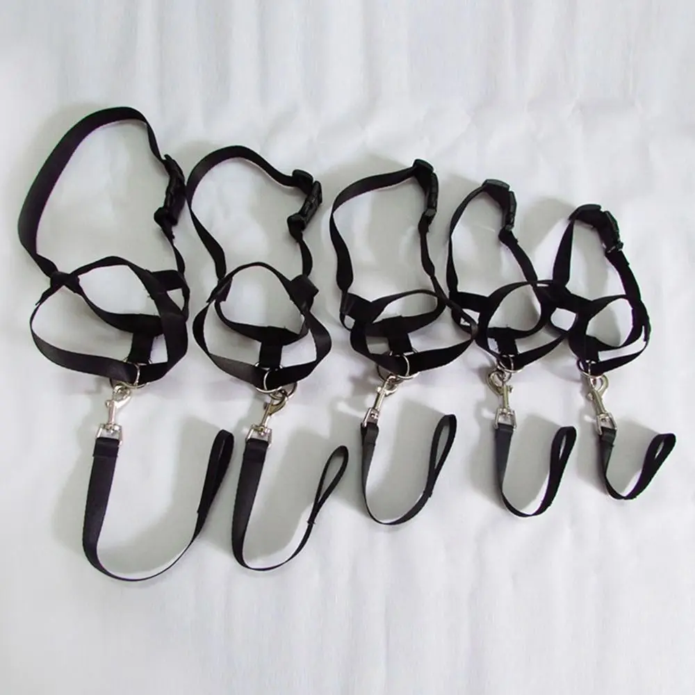 Kreative Trainingsleine Anti-Bell-Hundehalfter Hundekopf-Halsband Führungs-Geschirr Hundemaulkorb – Detail 11