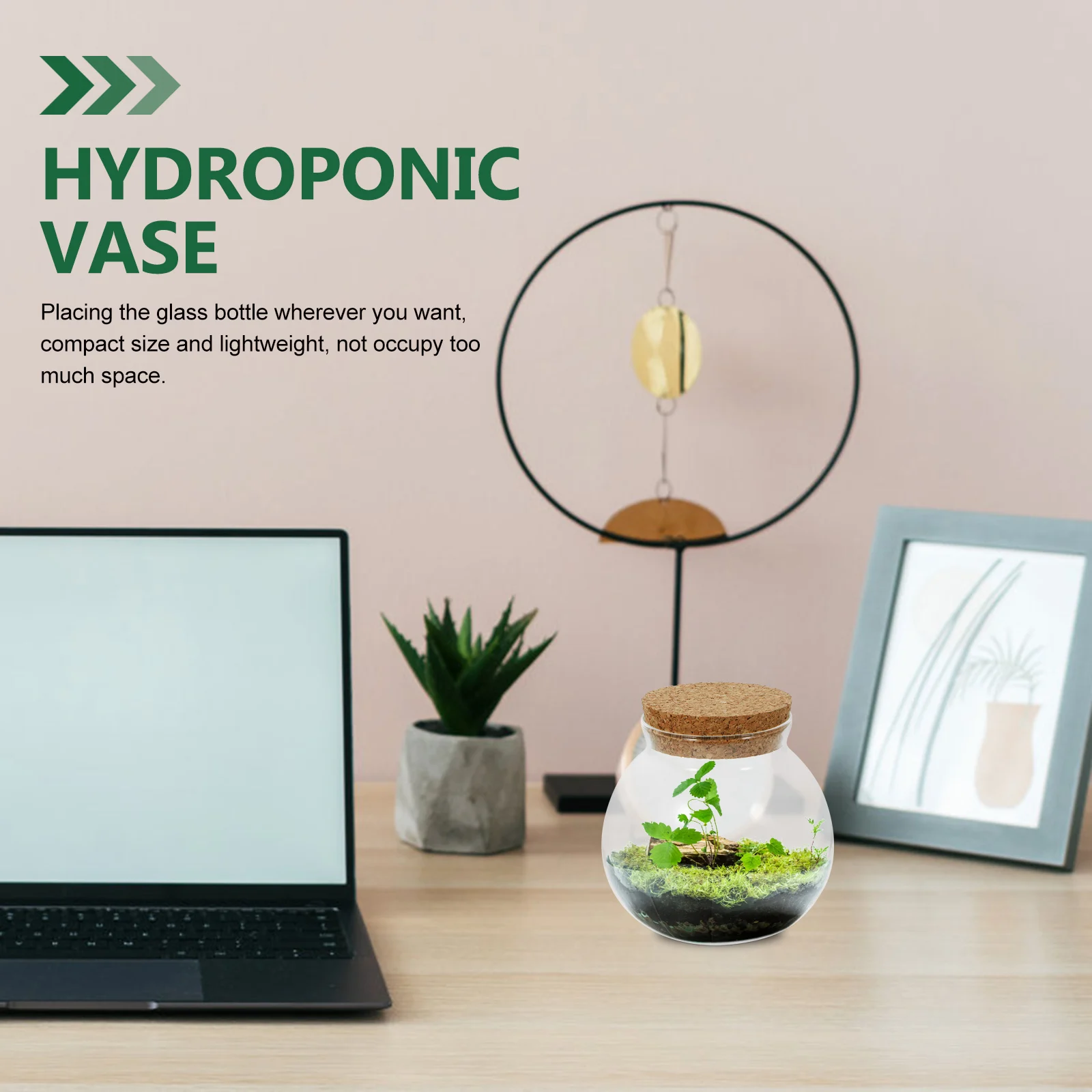 

Ecological Bottle Mini Glass Terrarium For Plants Micro Landscape Diy Container Desktop Decor Moss Plant Bottle