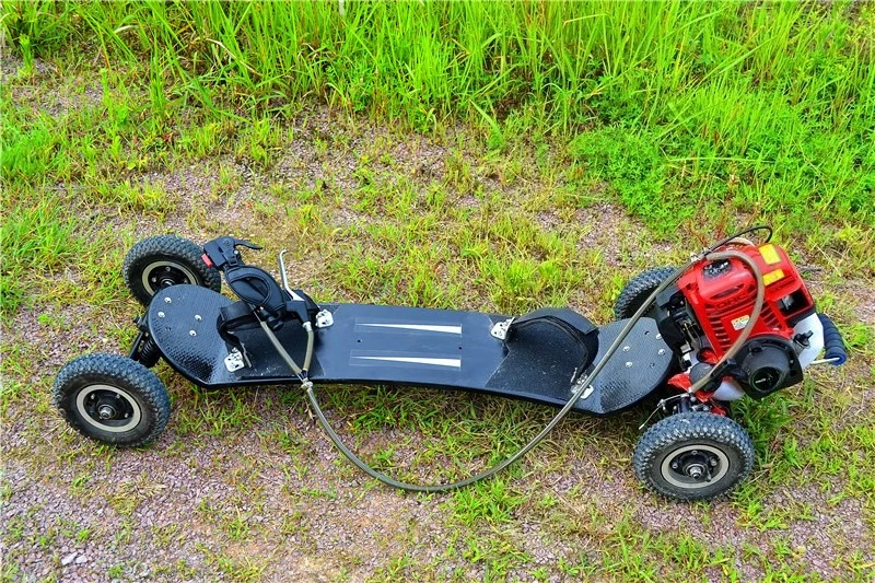Simultaneous listing at home and abroad, new  , off-road skateboard, power , mountain skateboard