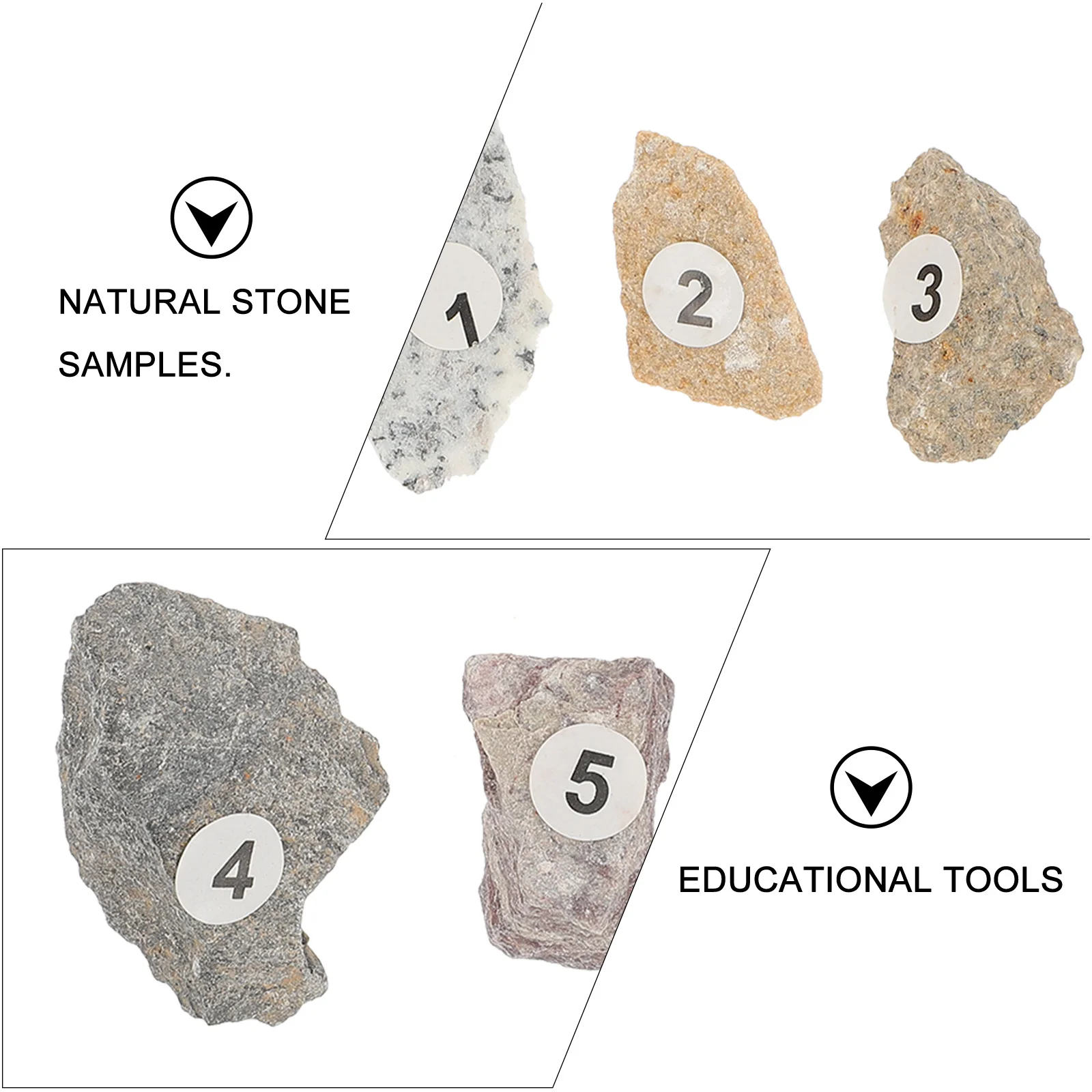 

1 set 1 Set Natural Stone Specimens Teaching Tool For School Educational Rock Samples Learning Tool Home School Teaching