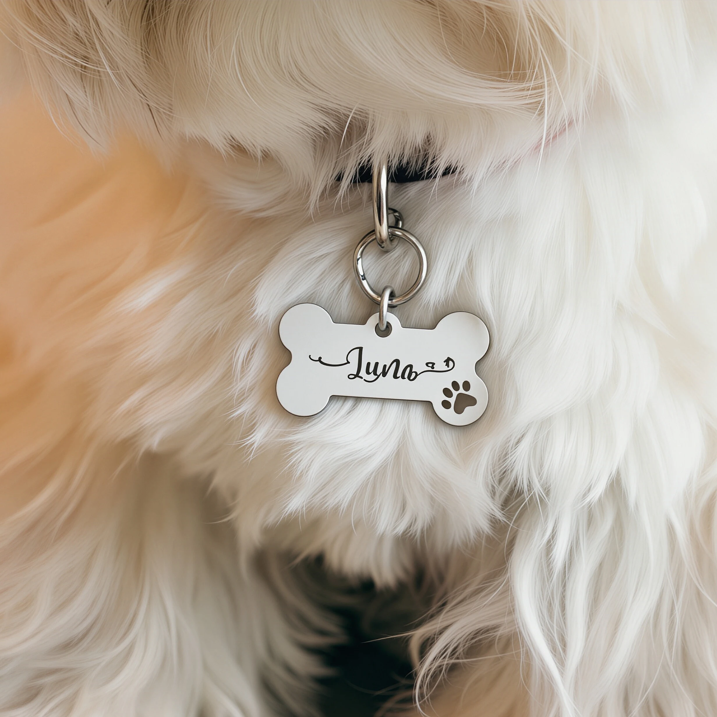Custom Keychain Personalized Stainless Steel Pet Bone Nameplate Custom Engrave Text Accessories Personalized Gift For Pet Lovers