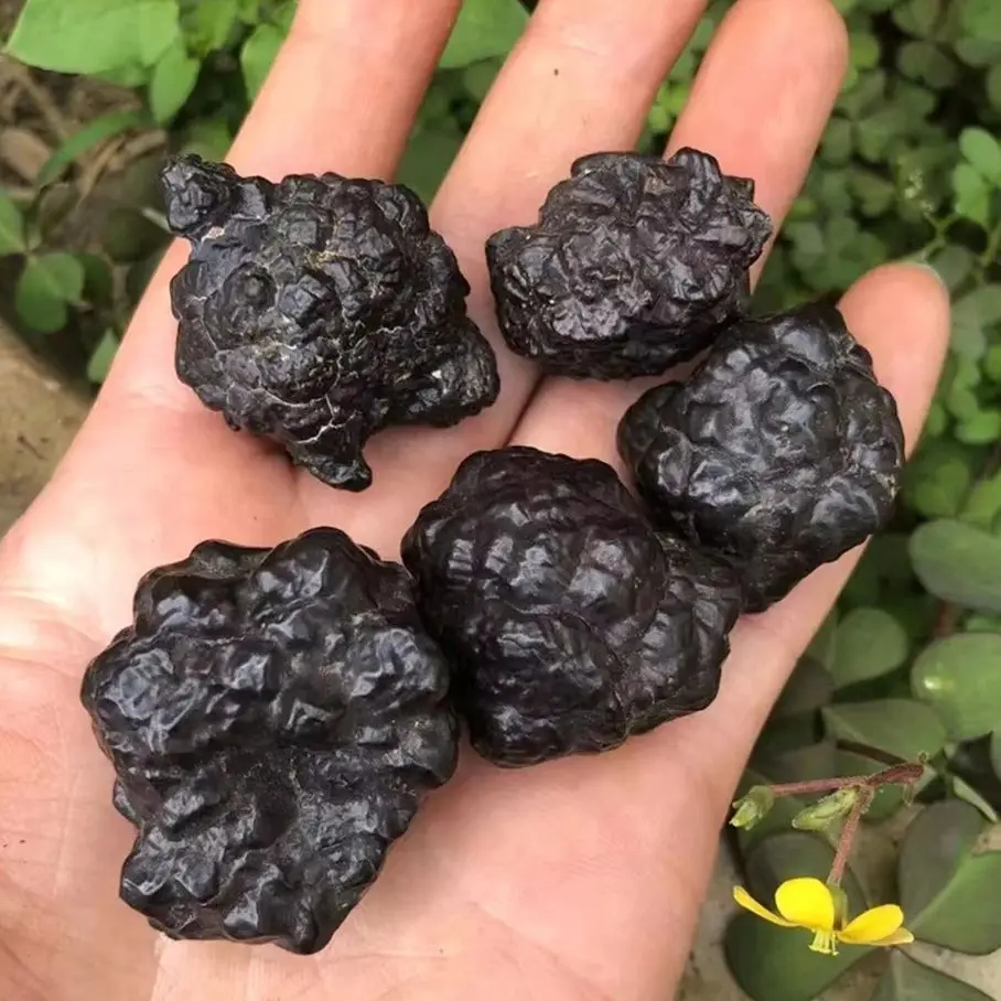 Egypt Natural Limon… - image