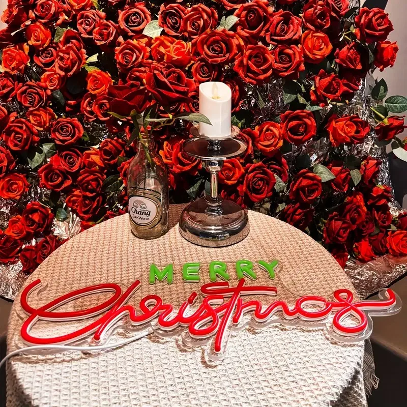 Merry Christmas Neon Sign Festive Wall Hanging Plastic 5/12V USB Powered Switch Control Multi-Purpose Holiday Lighting Decor