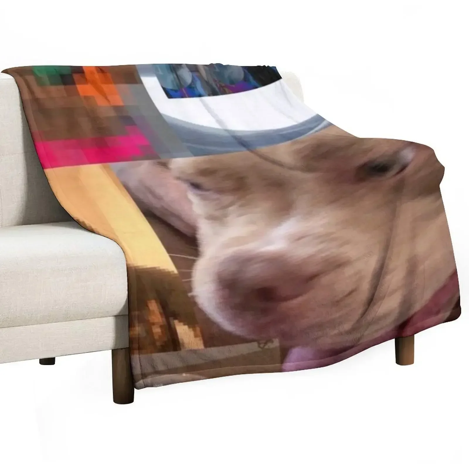 

The Lo-Fis- Steve Lacy Album Throw Blanket wednesday For Sofa Thin funny gift Blankets