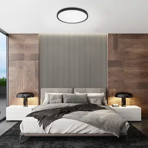 Ultra fine led ceiling lamp, interior lighting, bedroom decoration, ceiling light, kitchen, bedroom, hallway, bathroom, 220v, 27cm, 37cm 10 Main Sales Pendant Luminaire - №9