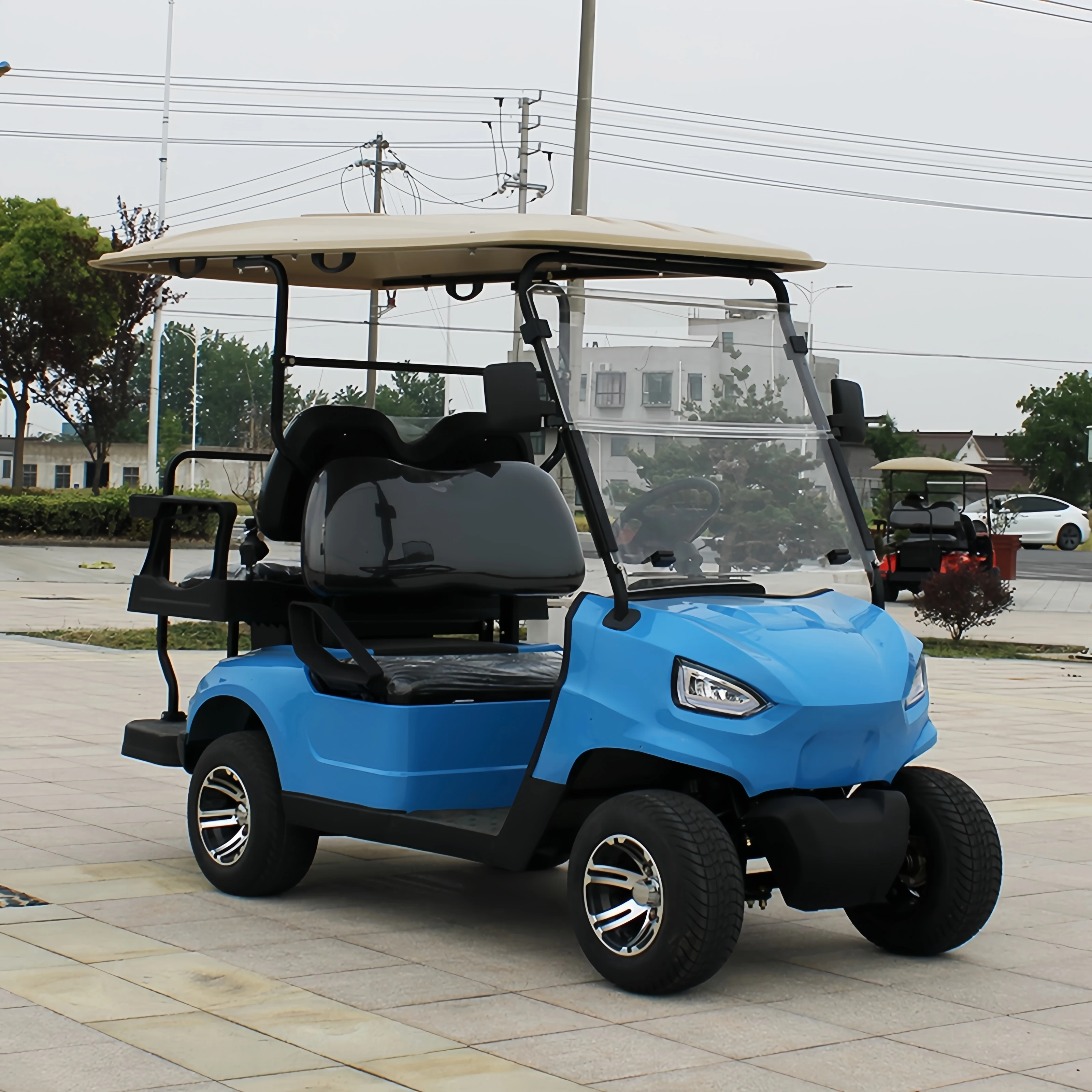 Carro de golf eléctrico personalizado de 6 plazas, mini carrito de golf barato para Club Car de alta calidad