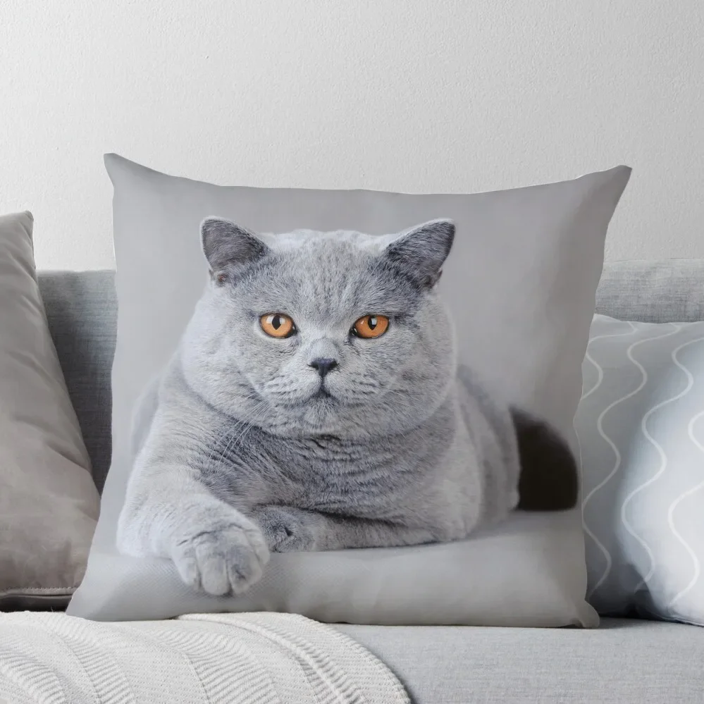 

British shorthair cat portrait Throw Pillow Cushions Luxury Cushion Cover