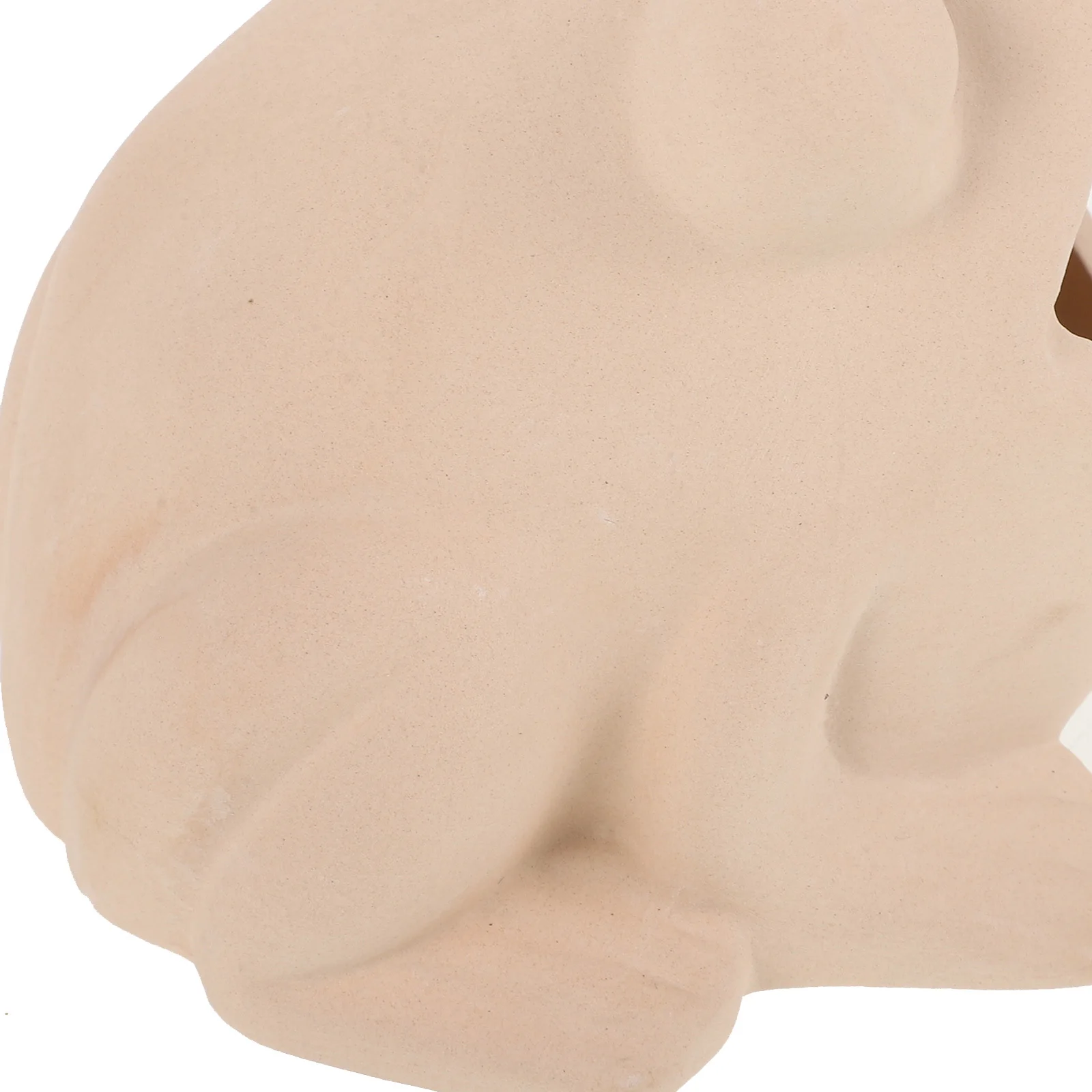 

Ceramic Aquarium Hideout for Fish and Shrimp Natural Frog Shaped Tank Decor Pottery Clay Based Ornament Safe for Freshwater and