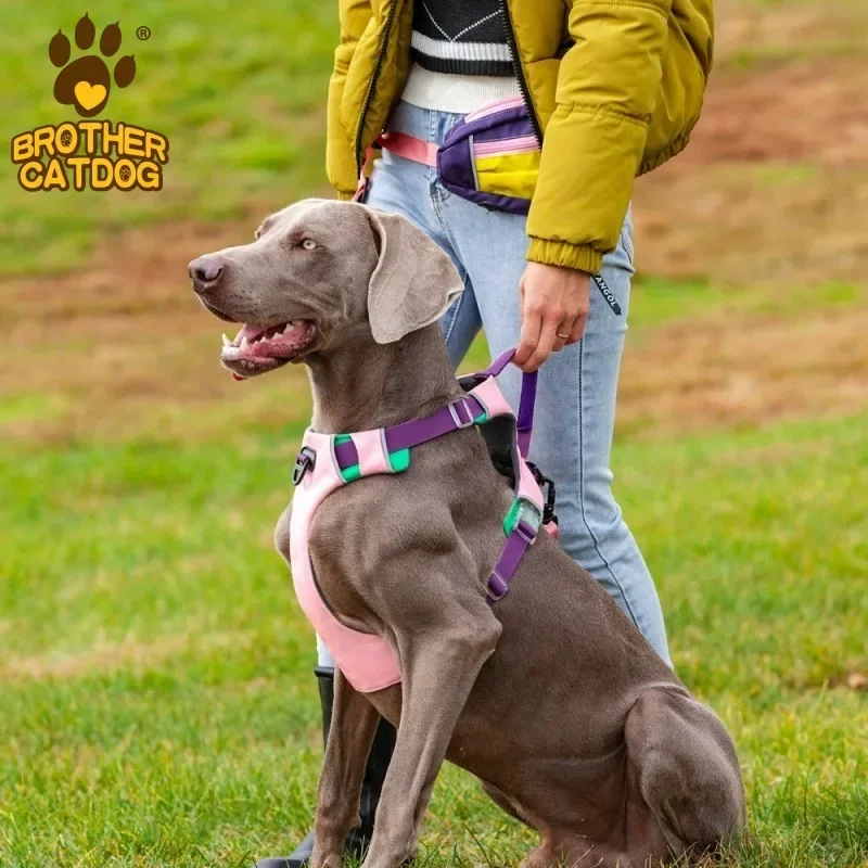 

Pet chest strap dog leash can be pulled vest type medium and large dog walking dog rope wholesale