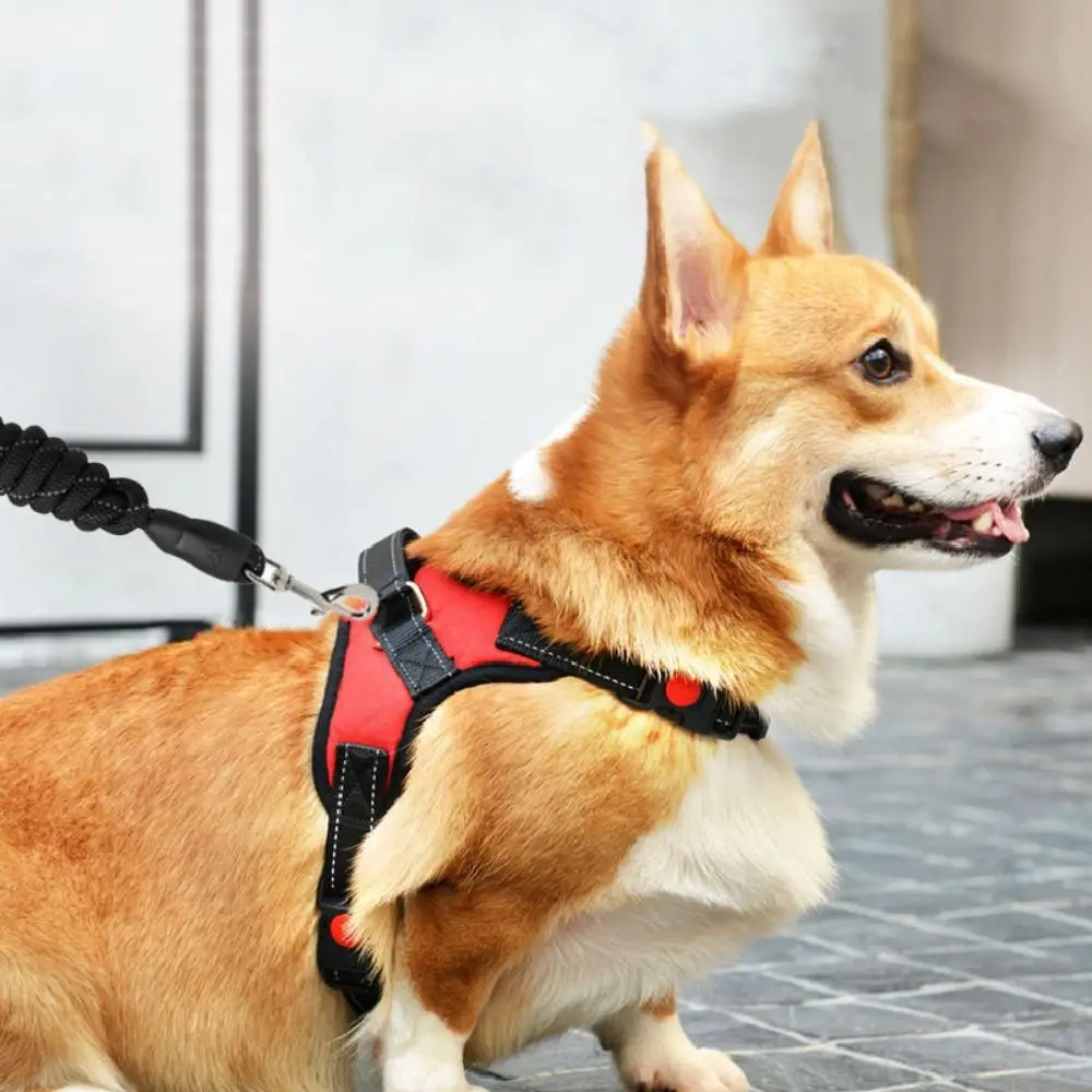 

Durable Nylon Dog Cat Harness Adjustable Reflective Dog Harness Vest Wear-resistant Heavy Duty Pet Chest Strap for Dogs Cats