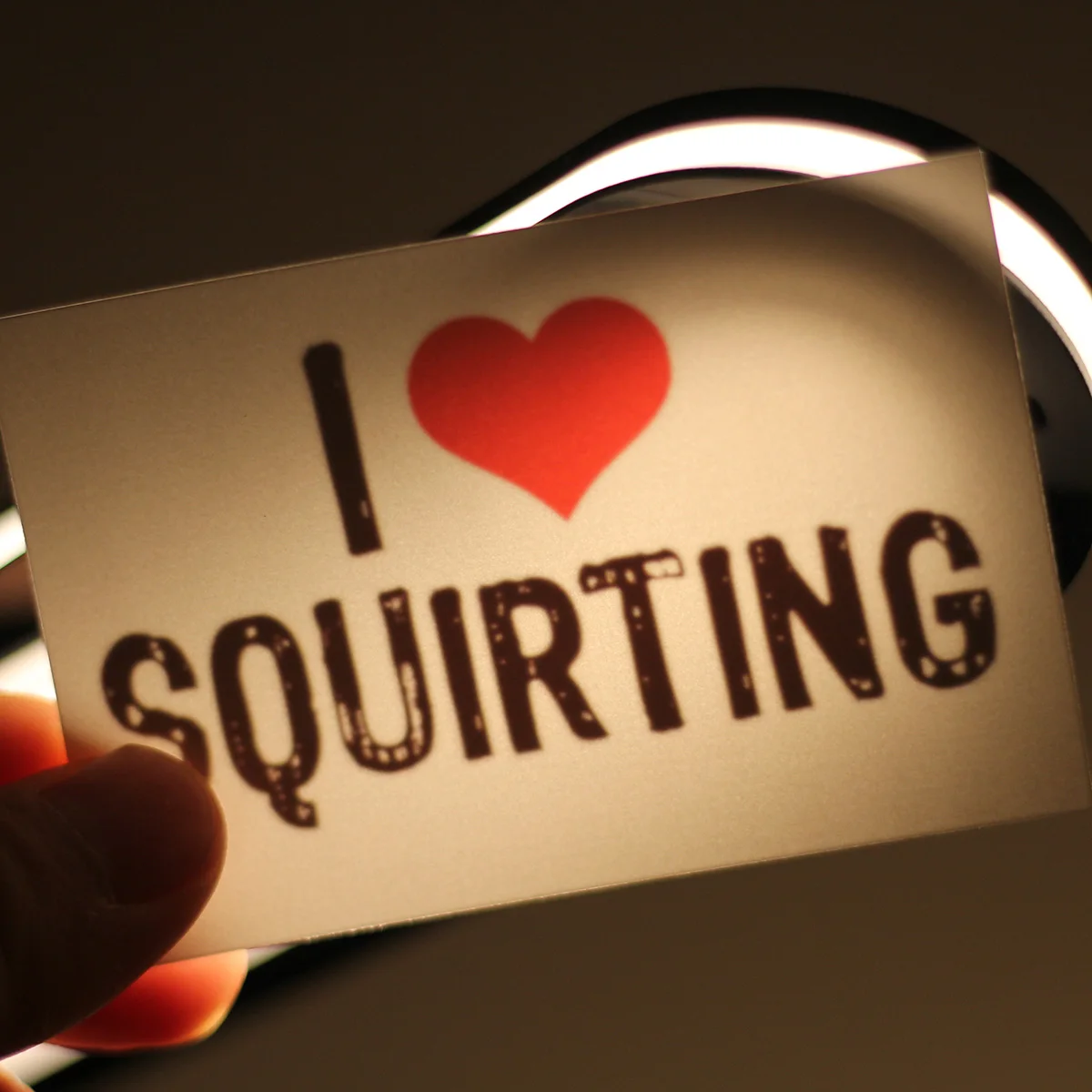 

10 шт./лот. Я люблю белок. Водостойкая временная наклейка, временная татуировка для взрослых в виде подарка для любимого человека