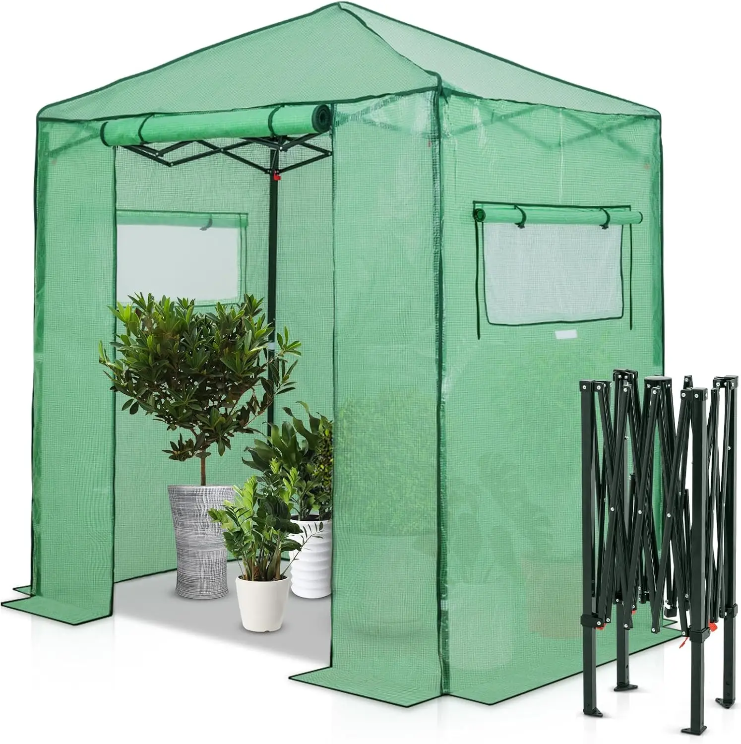 Small 6x4 Pop-Up Greenhouse with Easy Setup, Clear and Green