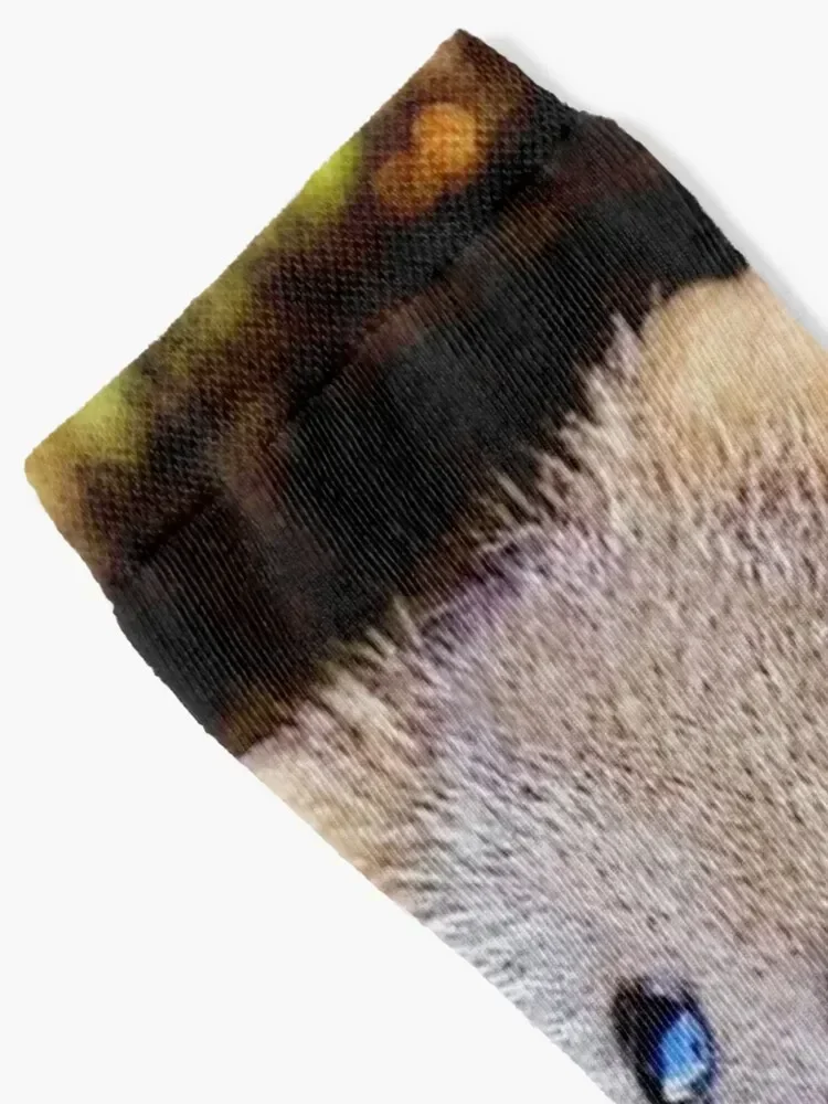 Be happy like a quokka Socks floral halloween retro Heating sock Male Socks Women's