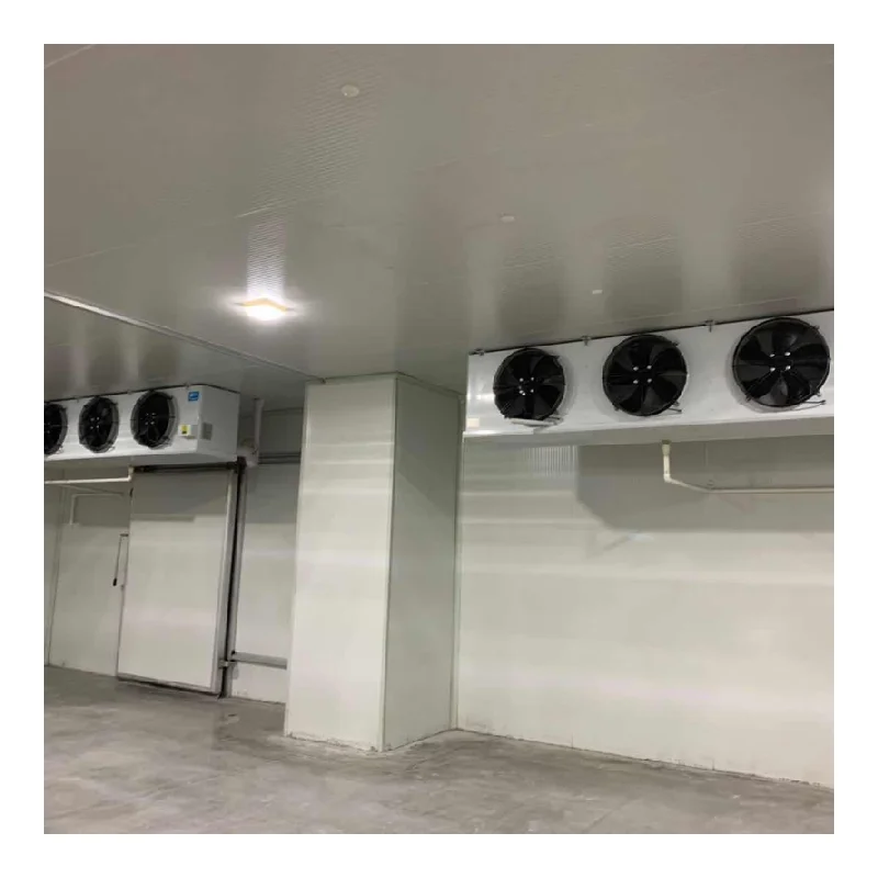 Maßgeschneiderter Industriekühler, Gefrierschrank, Lagerung, Transport, Kühlraum, Gefrierschrank, Walkin-Kühler, Direktverkauf ab Werk