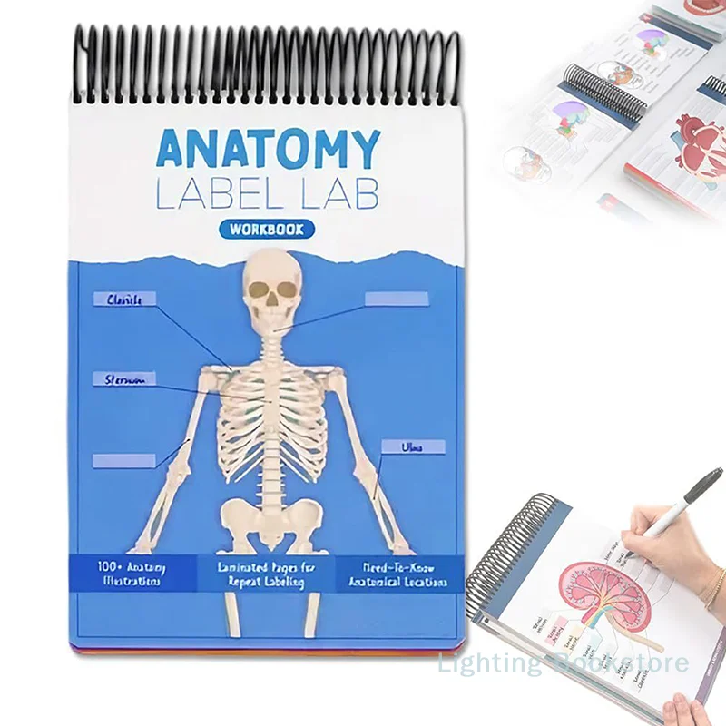 Anatomy Label Lab Workbook– 100+ Full-Color Dry-Erase Pages With Human Anatomy Illustrations, Anatomy Terms And Labels For Learn