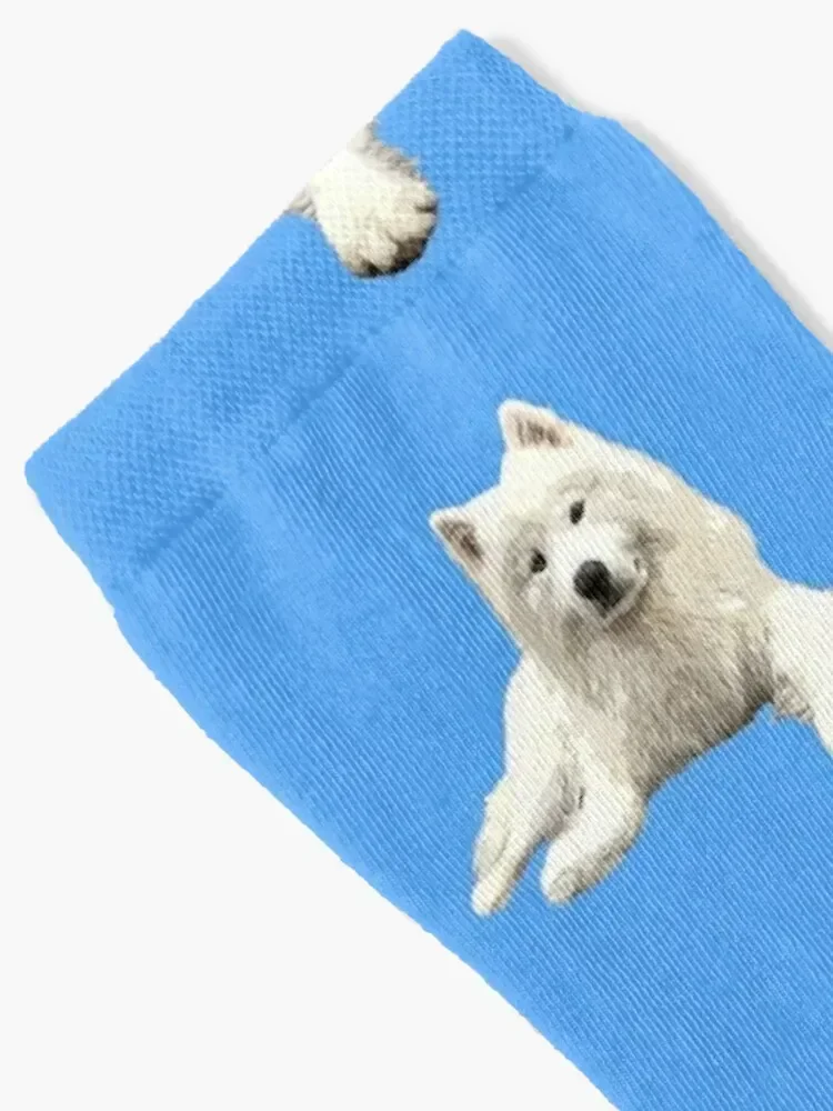 Samoyed Looking Good! Socks Argentina winter thermal Women Socks Men's