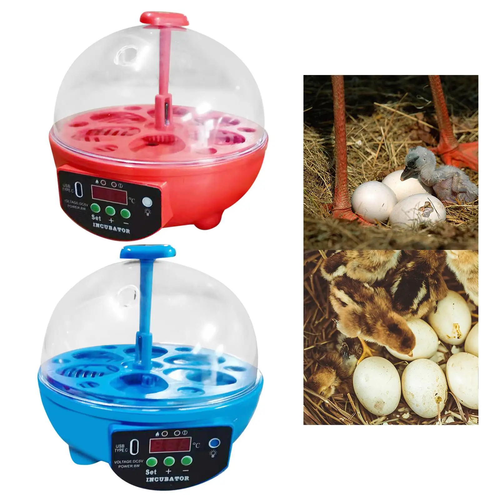 USB Egg Incubator Manual LED Display Chick Incubator Hatcher Machine for Goose