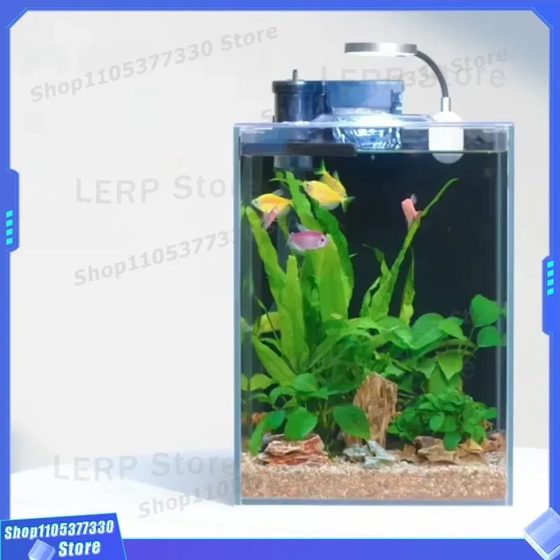 Mini Square Glass Fish Tank with LED Light and Filter Clear Aquarium Kit for Desktop Home Decoration Small Betta Habitat