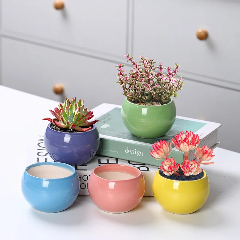 Bonsai Mini Ceramic Flowerpot Cute Succulent Flower Planting Pot Office Desktop Decoration for Garden Yard Living Room Balcony