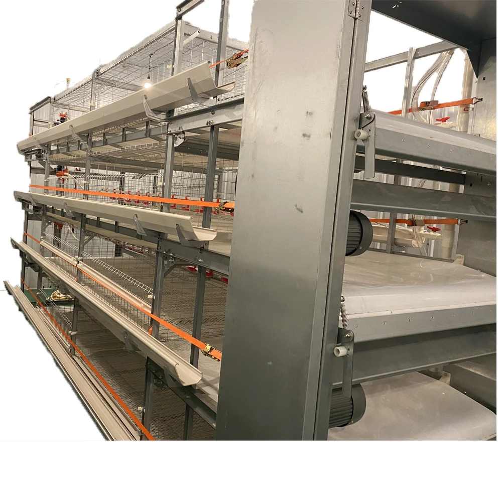 

Automatic Temperature Control Poultry Farming System Layer Chicken House