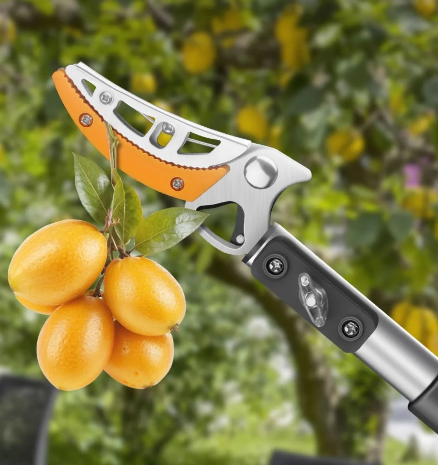 

Fruit picking artifact telescopic rod persimmons scissors loquat longan at high altitude