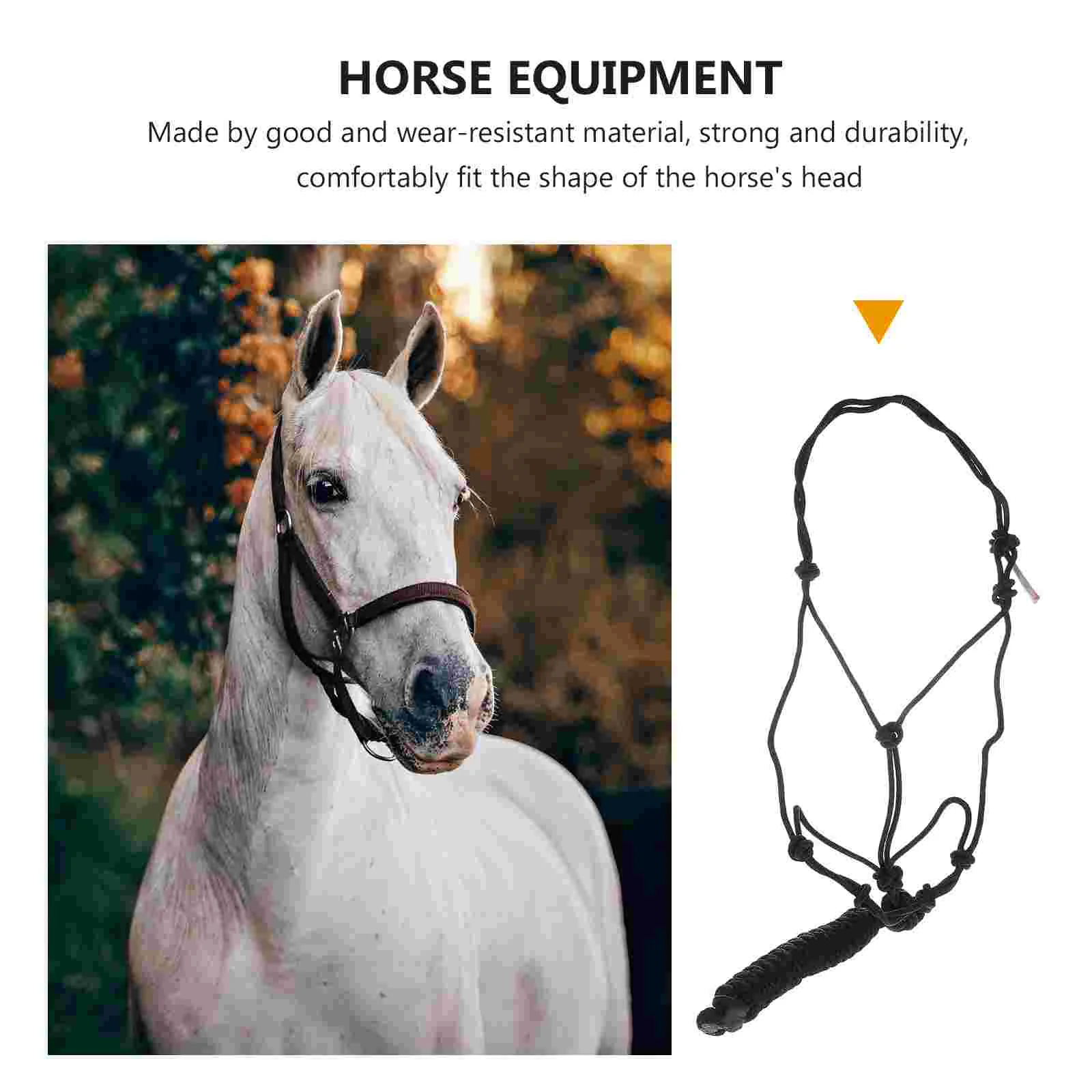 Brida Headstall Horse Show Halter Corda intrecciata Attrezzatura per l'allenamento Fornitura in poliestere